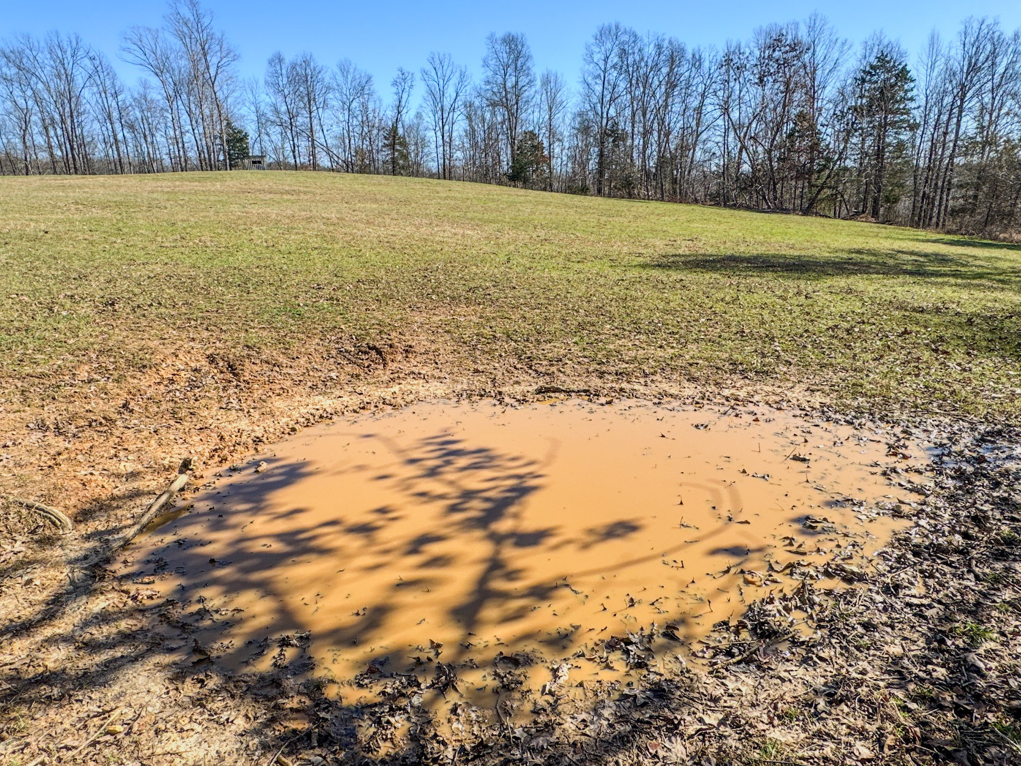 0 Bunker Hill Road Linden, TN 37096 - Photo 9 of 65 a view of an ocean beach