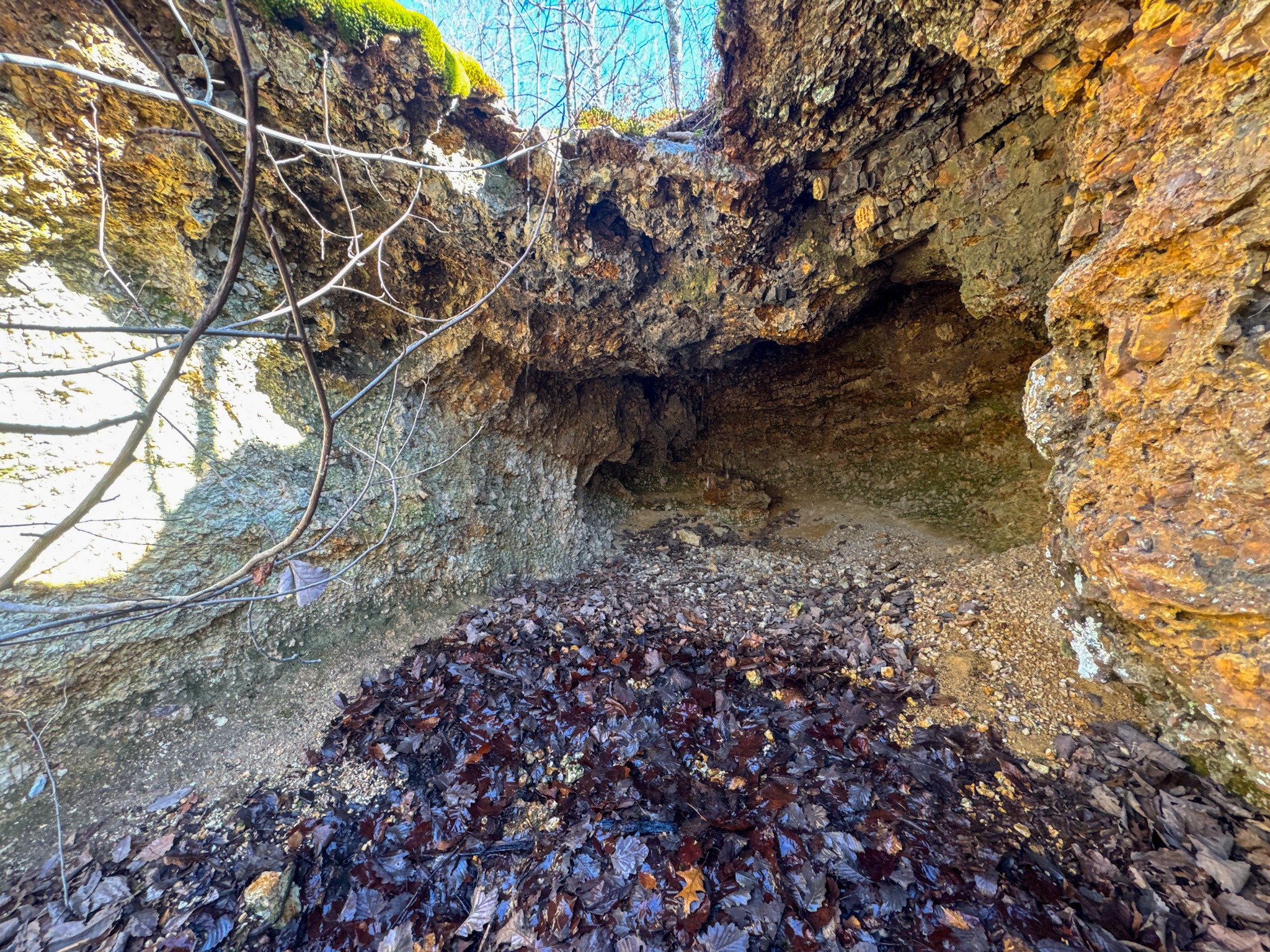 0 Bunker Hill Road Linden, TN 37096 - Photo 10 of 65 a big yard with lots of green space