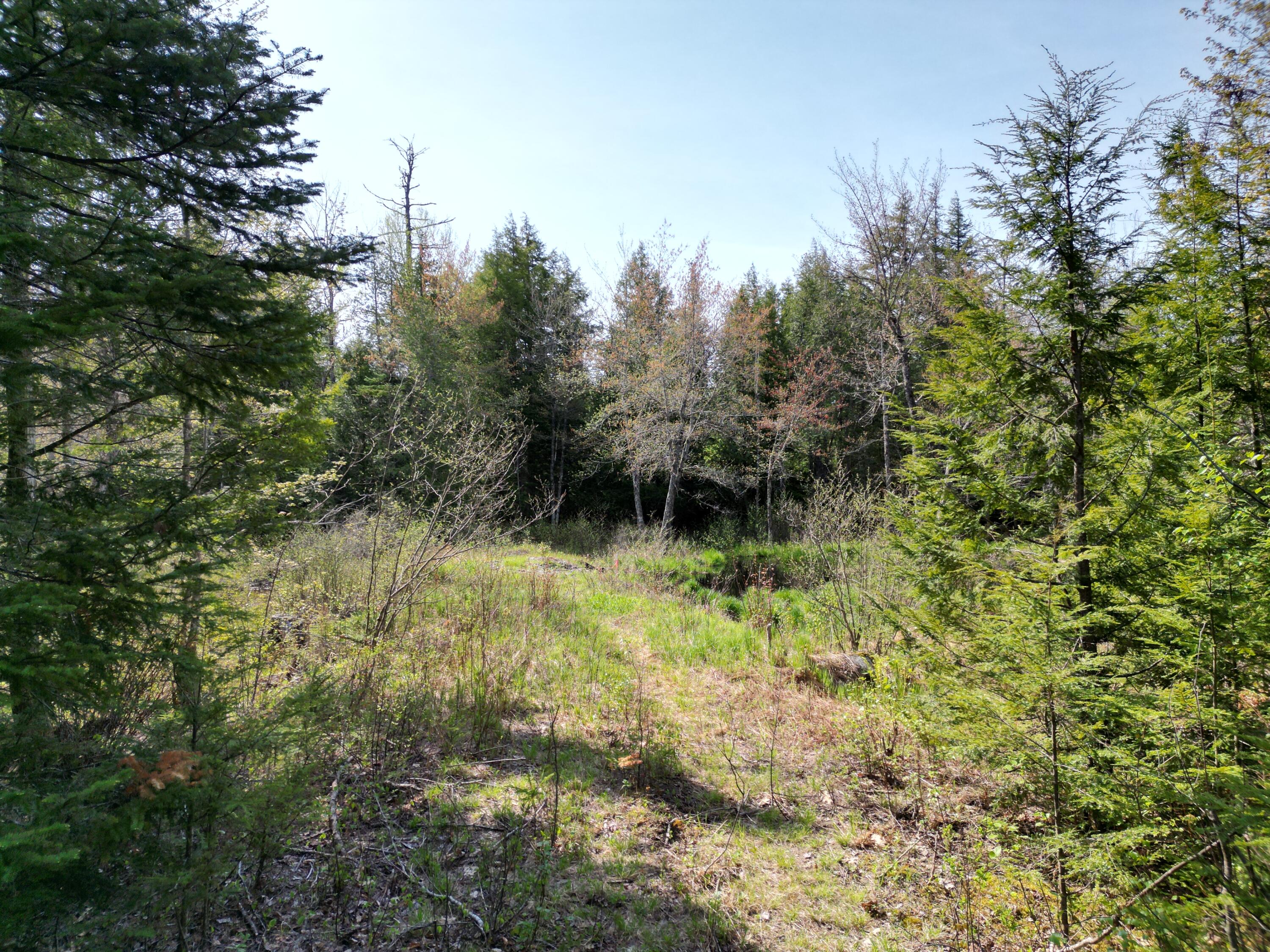 Lot 2 Off Mattamiscontis Road Howland, ME 04448 - Photo 8 of 16 DJI_0531