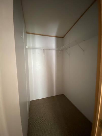 99 Roots Road Martindale, TX 78655 - Photo 18 of 28