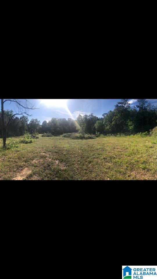 5885 Coleman Lake Road McCalla, AL 35111 - Photo 8 of 8