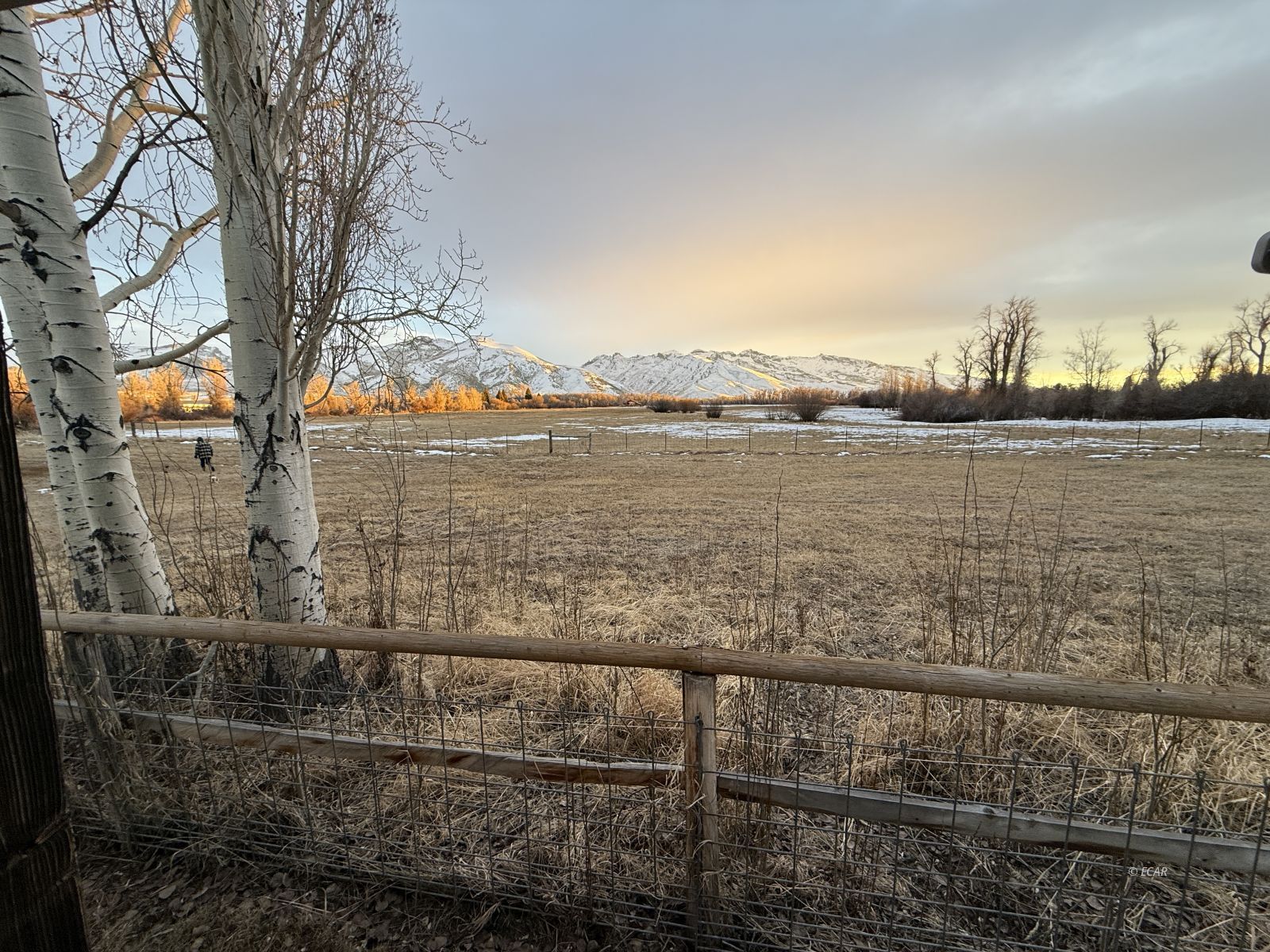 2034 Blume Ranch Road Lamoille, NV 89828 - Photo 3 of 45 a view of lake