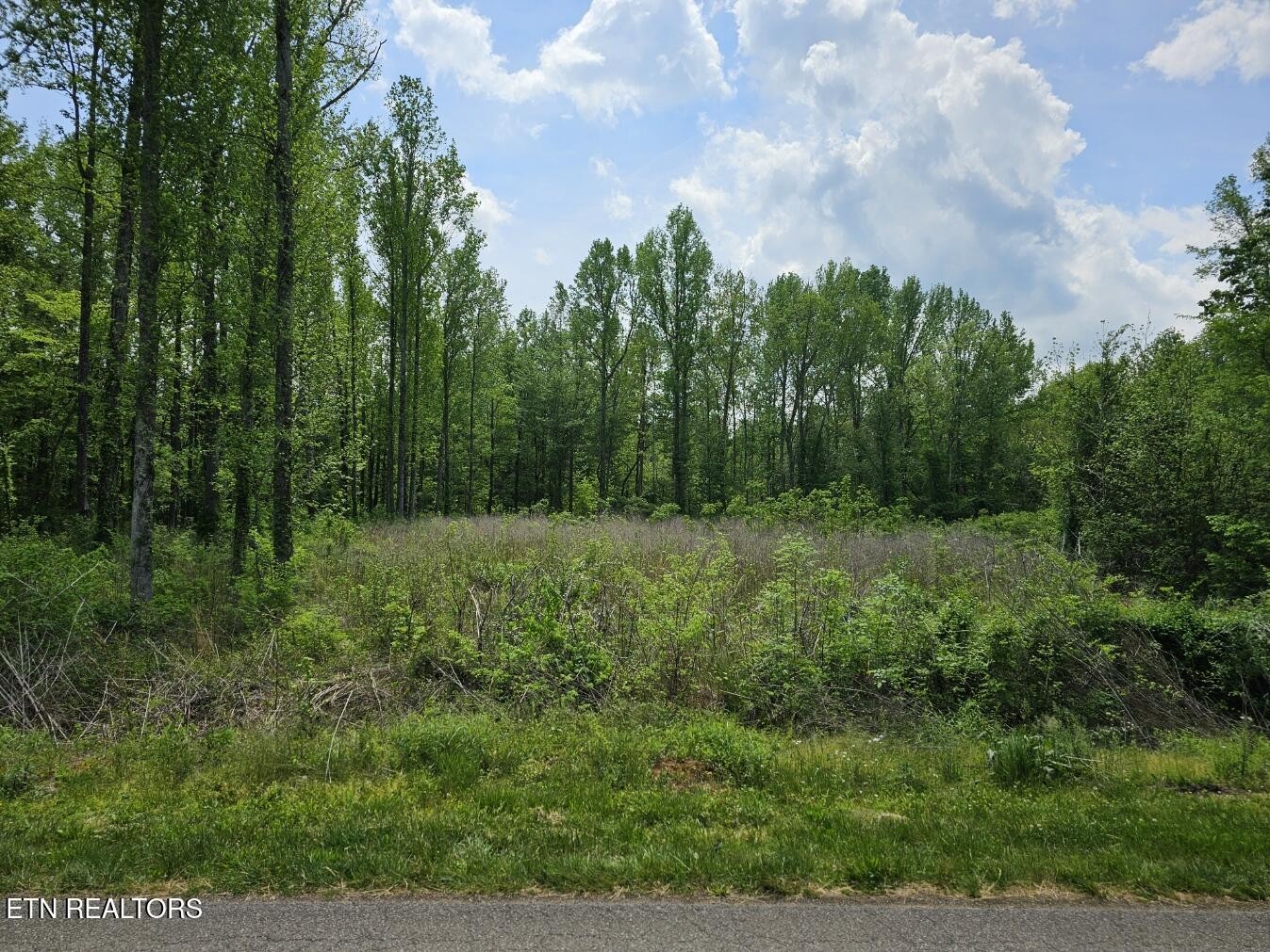 0 Old Mine Road Sweetwater, TN 37874 - Photo 1 of 13