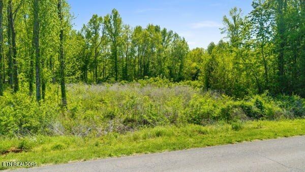 0 Old Mine Road Sweetwater, TN 37874 - Photo 2 of 13