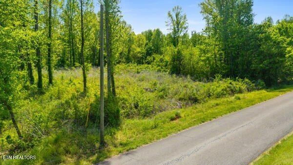 0 Old Mine Road Sweetwater, TN 37874 - Photo 4 of 13