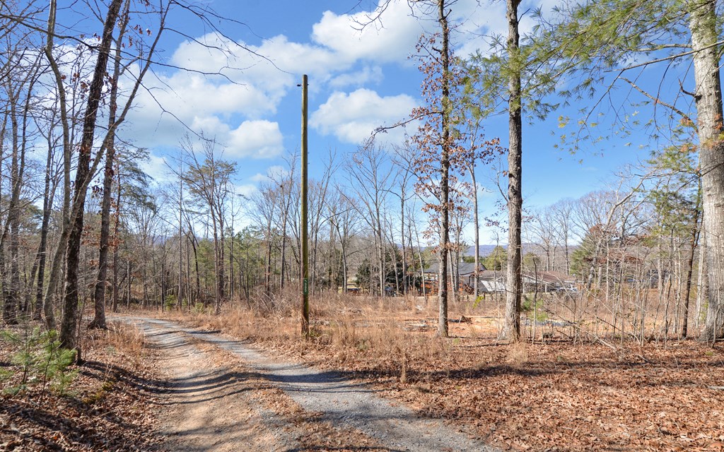595 Goss Road Epworth, GA 30541 - Photo 46 of 46 Gallery Image 46
