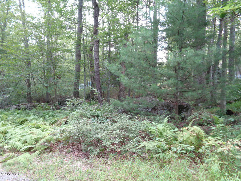 121 Boundary Road Tafton, PA 18464 - Photo 12 of 29 Gallery Image 12