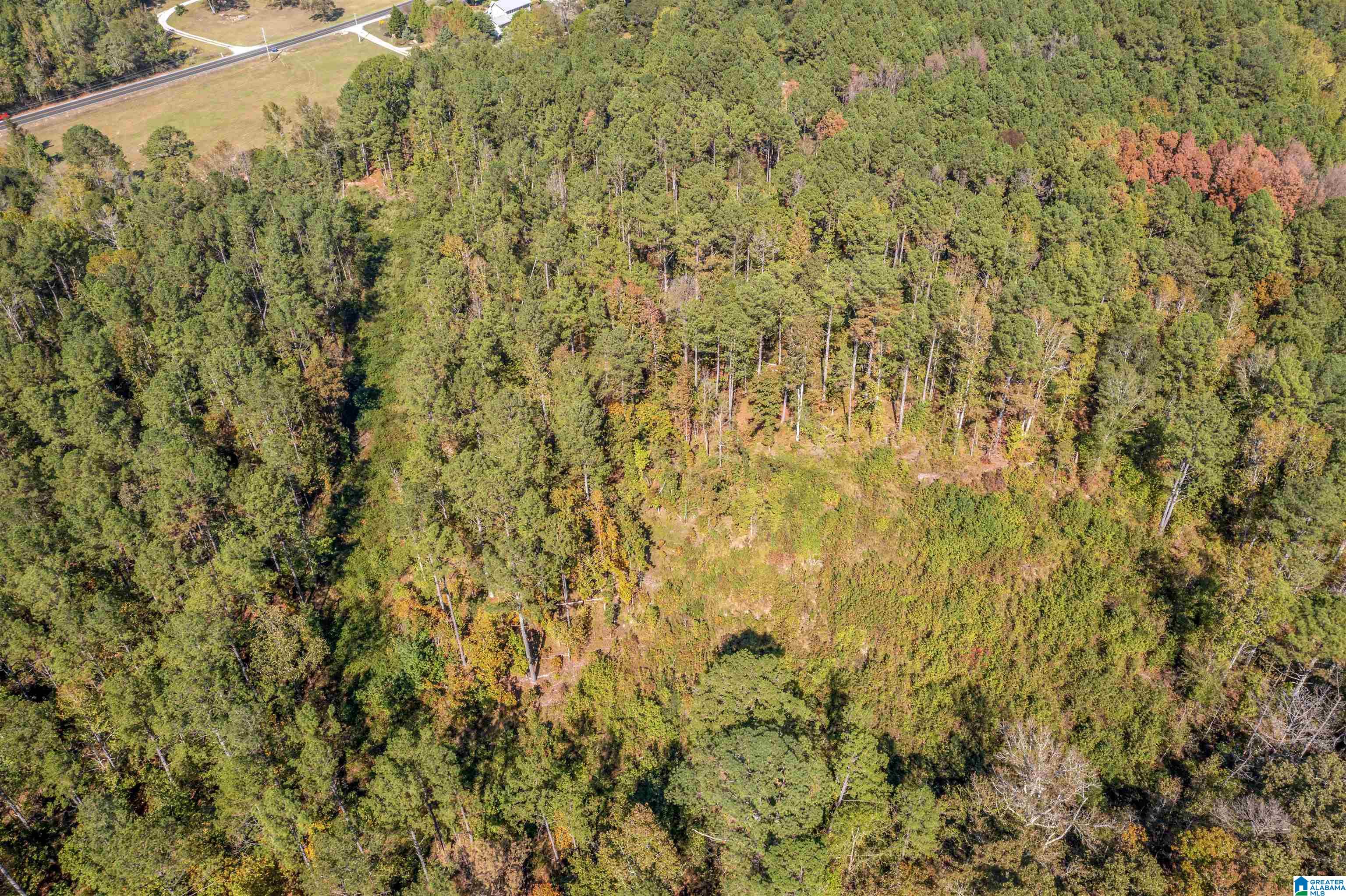 0 Roy Webb Road Jacksonville, AL 36265 - Photo 11 of 15