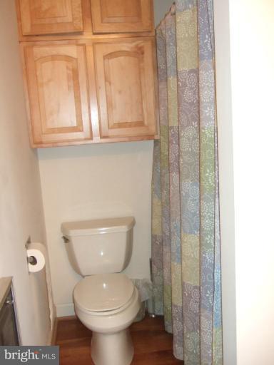 21403 Mt Lena Road Boonsboro, MD 21713 - Photo 15 of 22 Bath (Master)