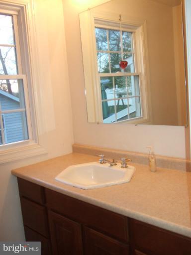 21403 Mt Lena Road Boonsboro, MD 21713 - Photo 4 of 22 Bath (Master)
