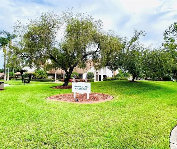 a park with lots of trees