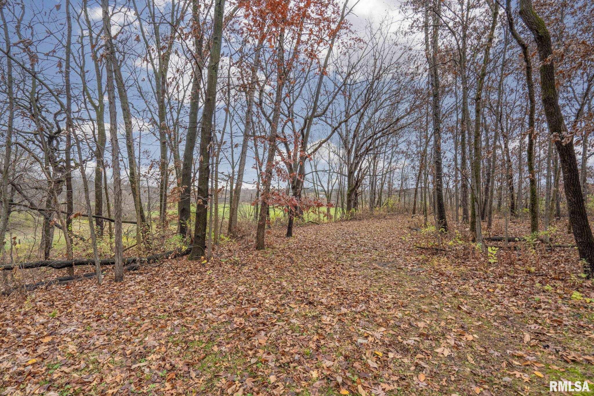 12445 Oakton Road Savanna, IL 61074 - Photo 27 of 34 Gallery Image 27