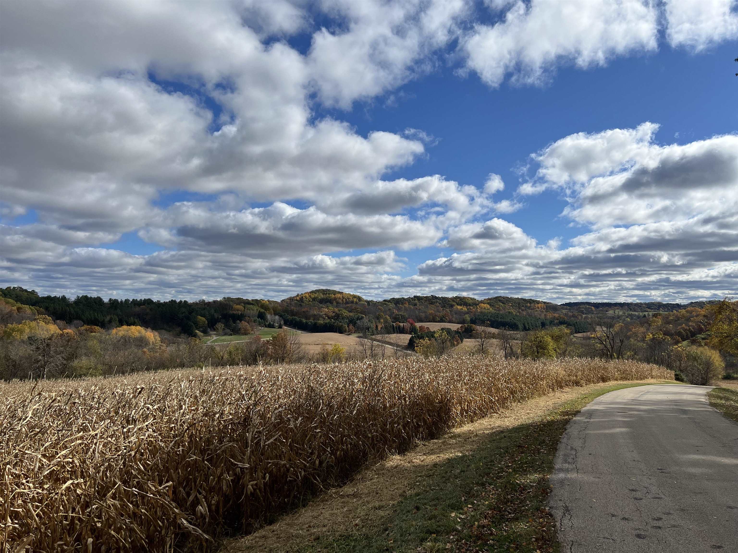 40.90 Kinnamon Reedsburg, WI 53959 - Photo 4 of 29