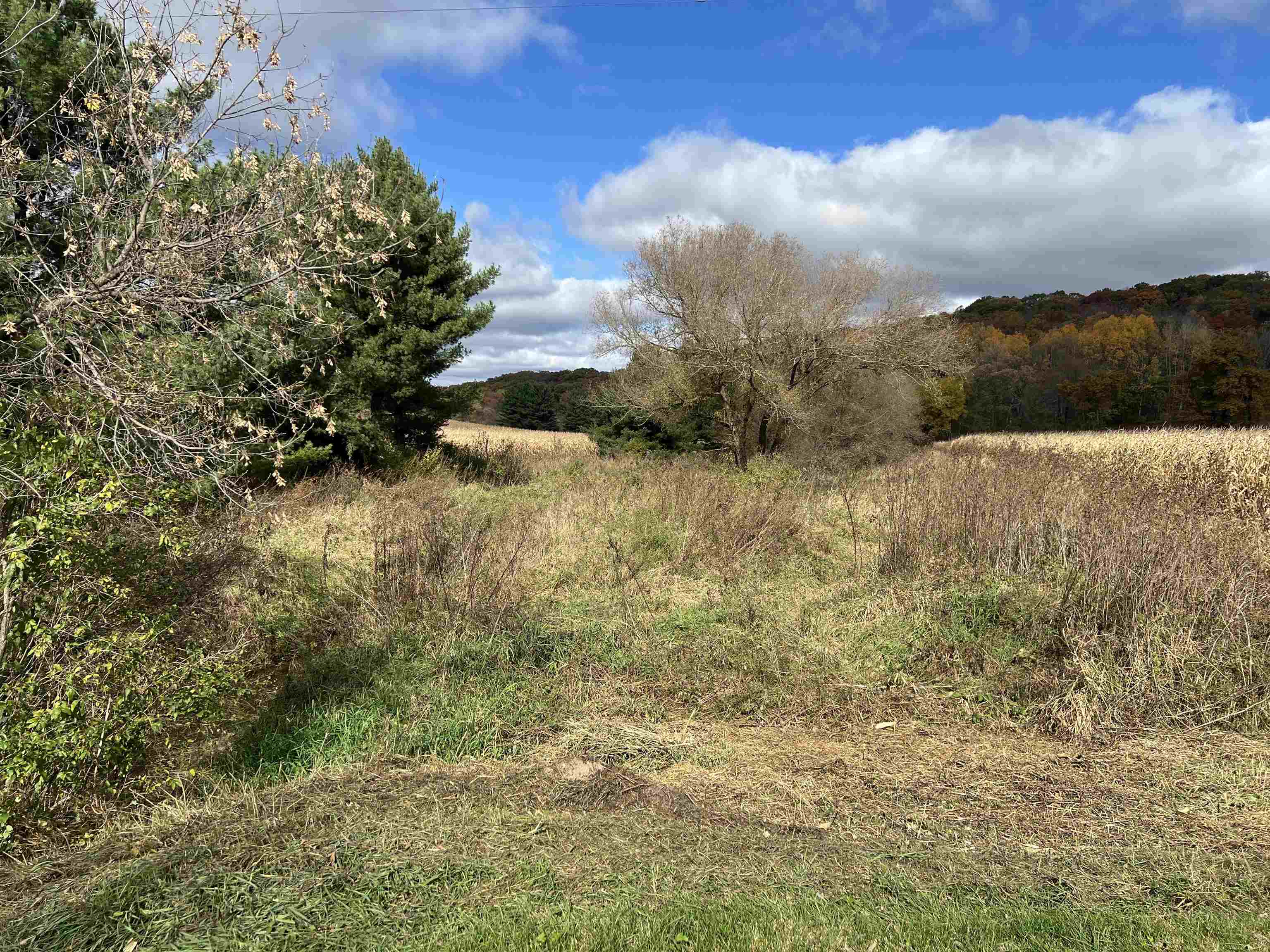 40.90 Kinnamon Reedsburg, WI 53959 - Photo 5 of 29