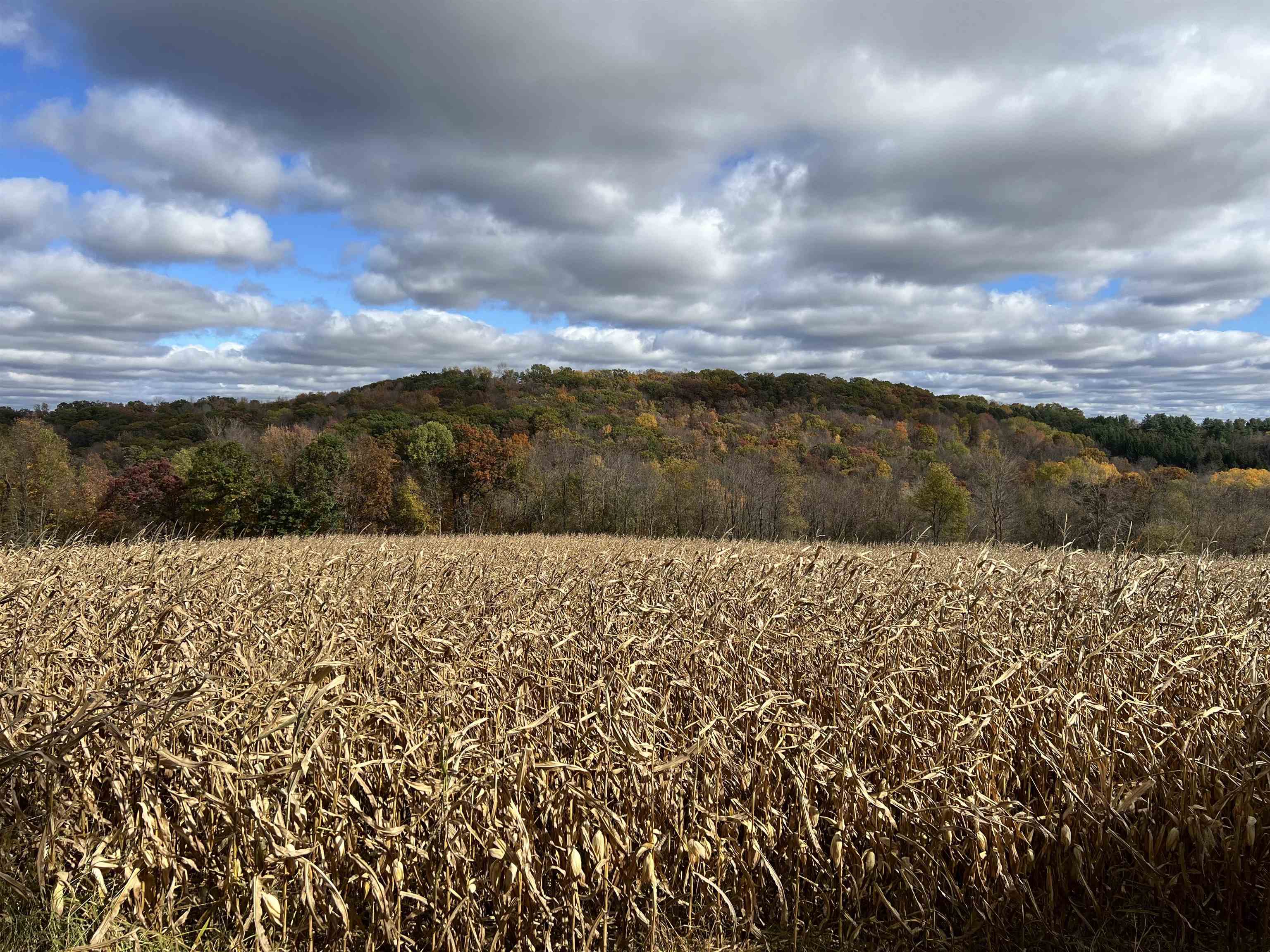 40.90 Kinnamon Reedsburg, WI 53959 - Photo 6 of 29