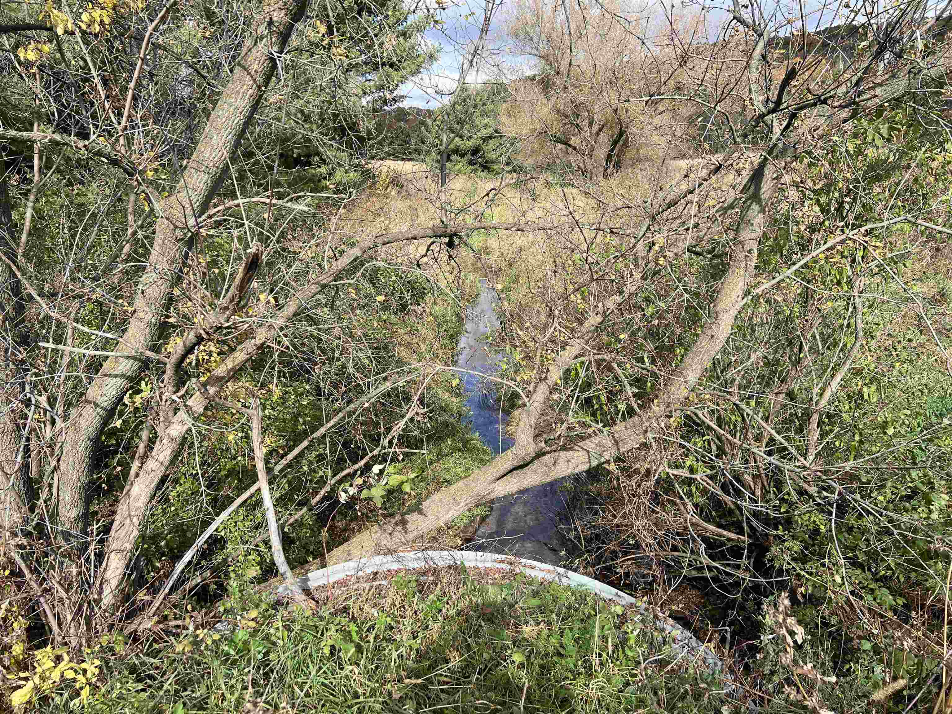 40.90 Kinnamon Reedsburg, WI 53959 - Photo 7 of 29