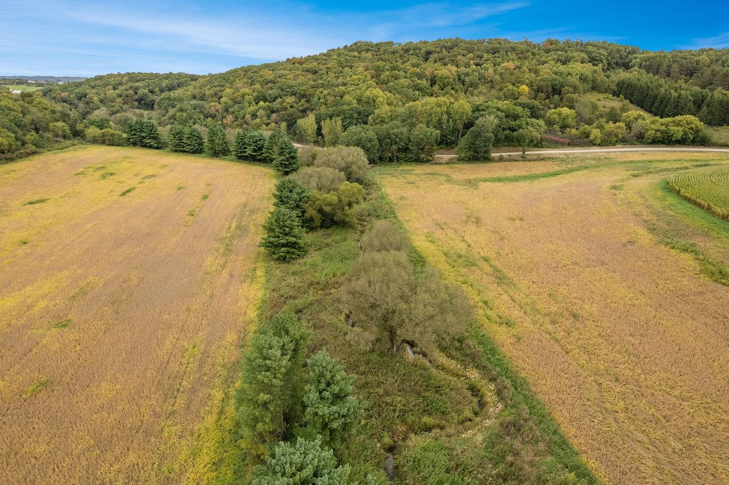 40.90 Kinnamon Reedsburg, WI 53959 - Photo 9 of 29