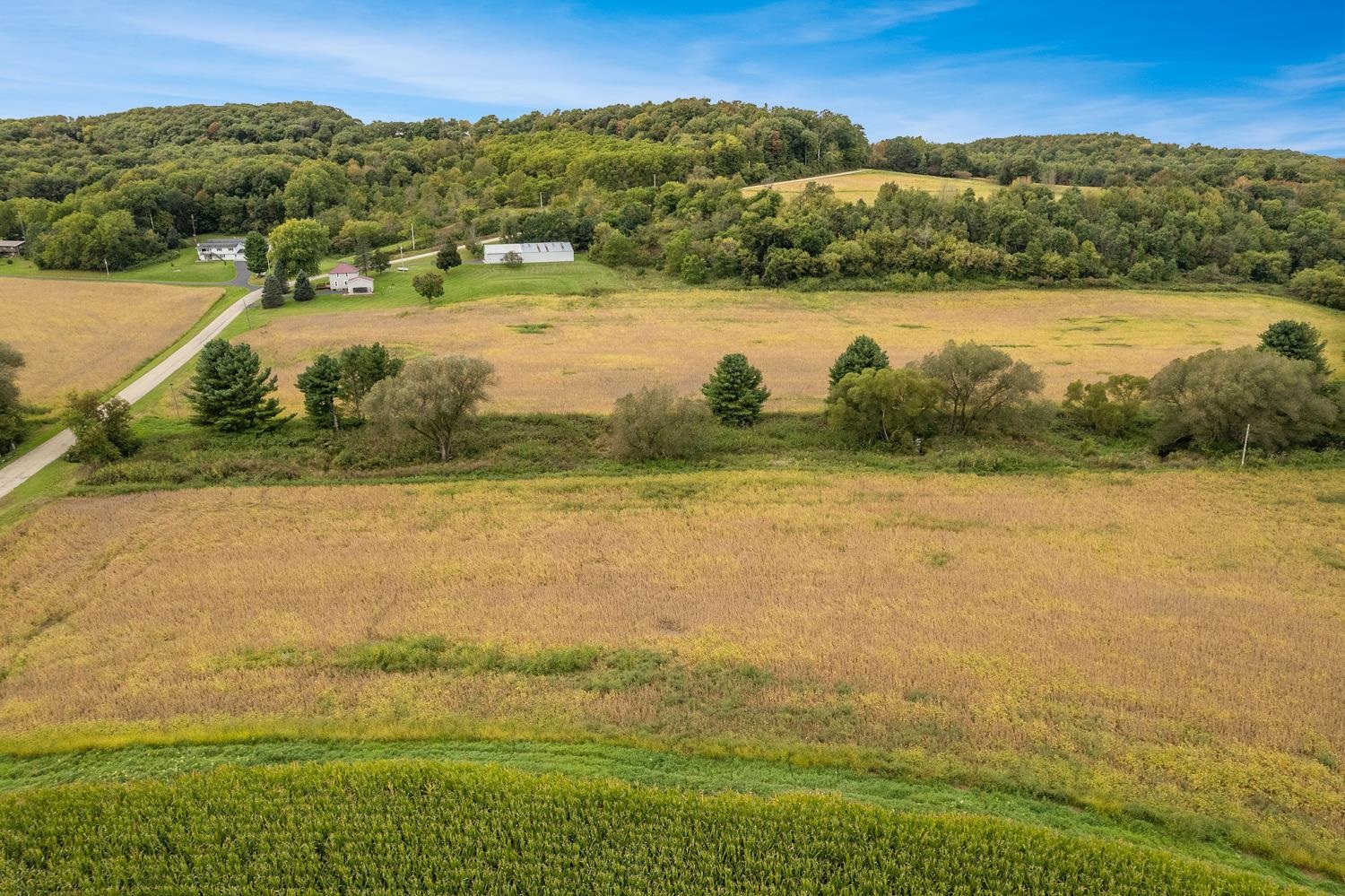 40.90 Kinnamon Reedsburg, WI 53959 - Photo 10 of 29