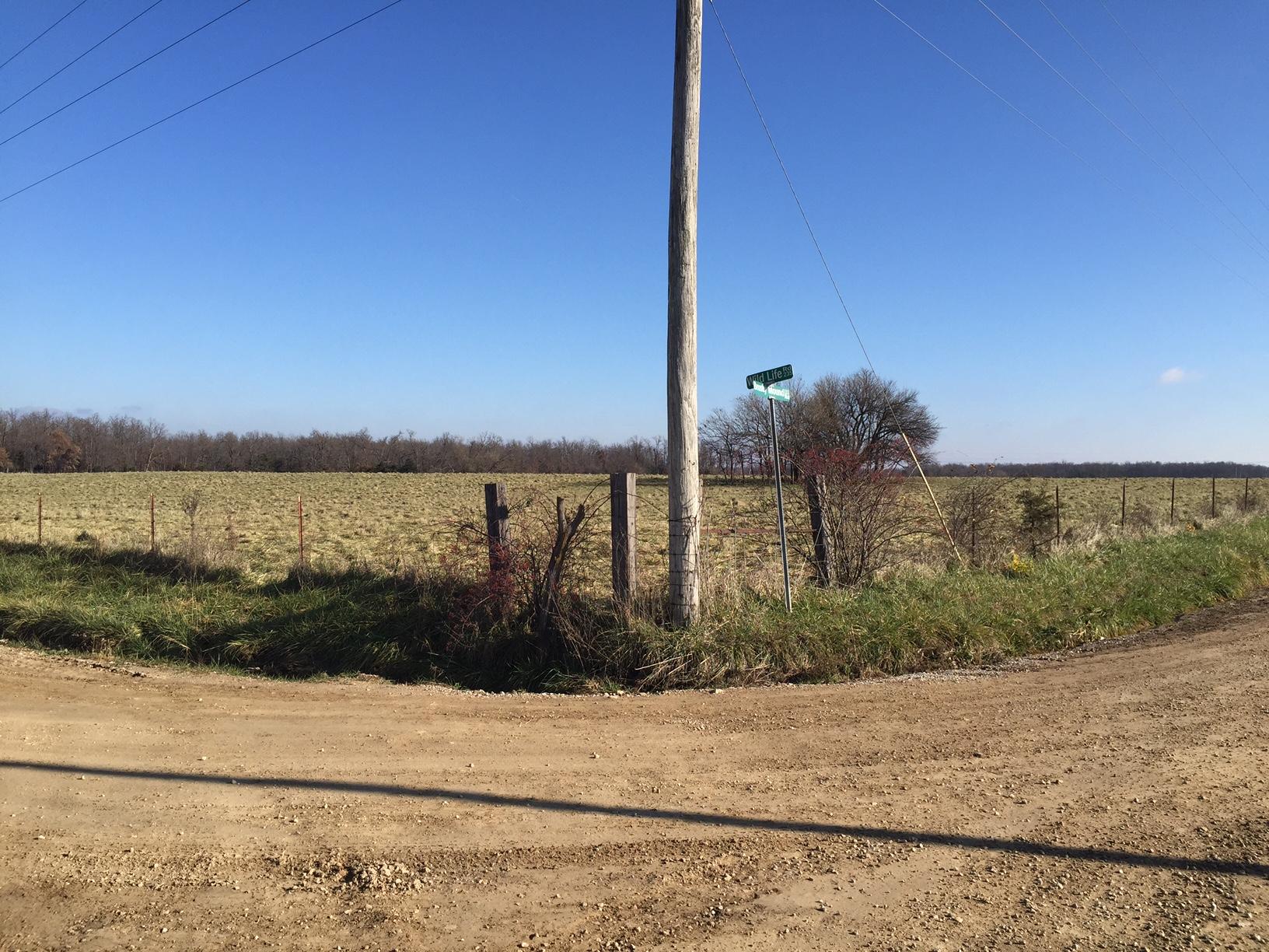 0 Wildlife Road Buffalo, MO 65622 - Photo 1 of 1 IMG_5838