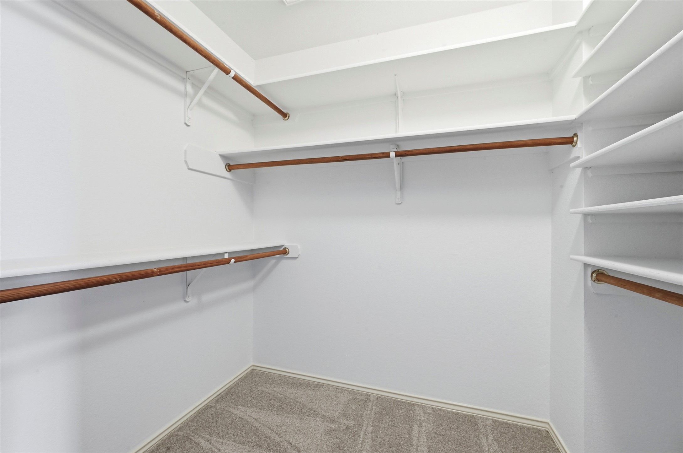 3629 Ruby Red Drive Austin, TX 78728 - Photo 19 of 35 Walk in closet in primary bedroom