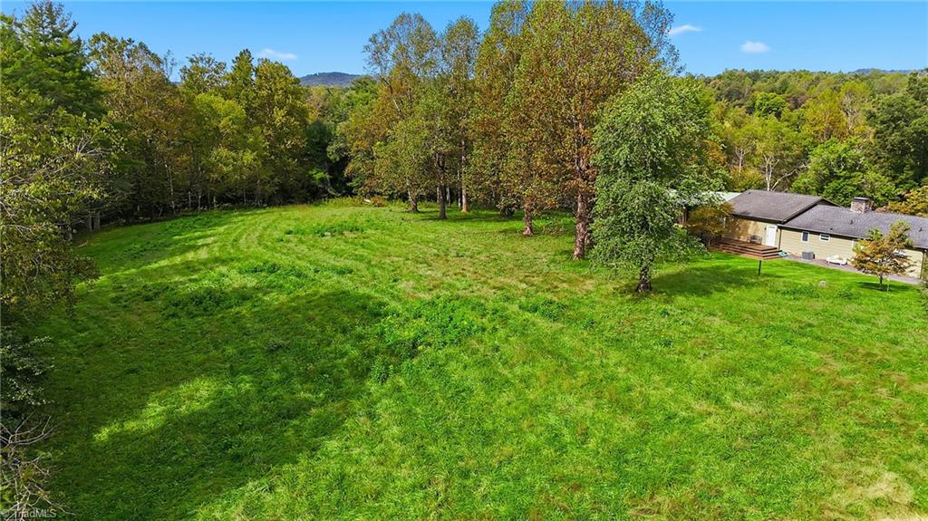 1167 New Hope Road Purlear, NC 28665 - Photo 44 of 50 Gallery Image 44