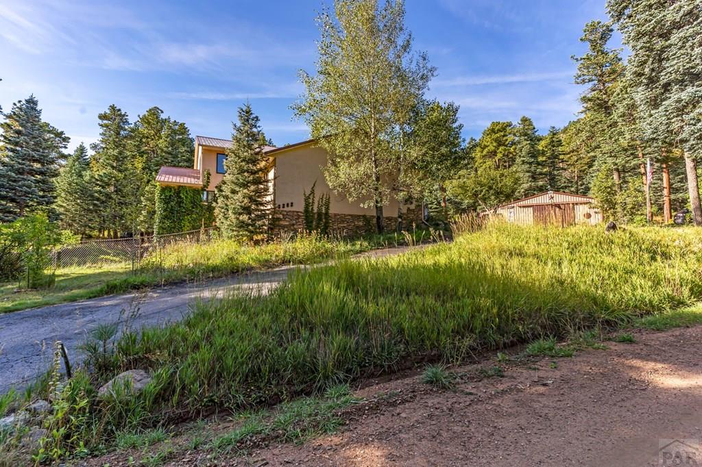 8262 William Drive Rye, CO 81069 - Photo 12 of 100 Gallery Image 12