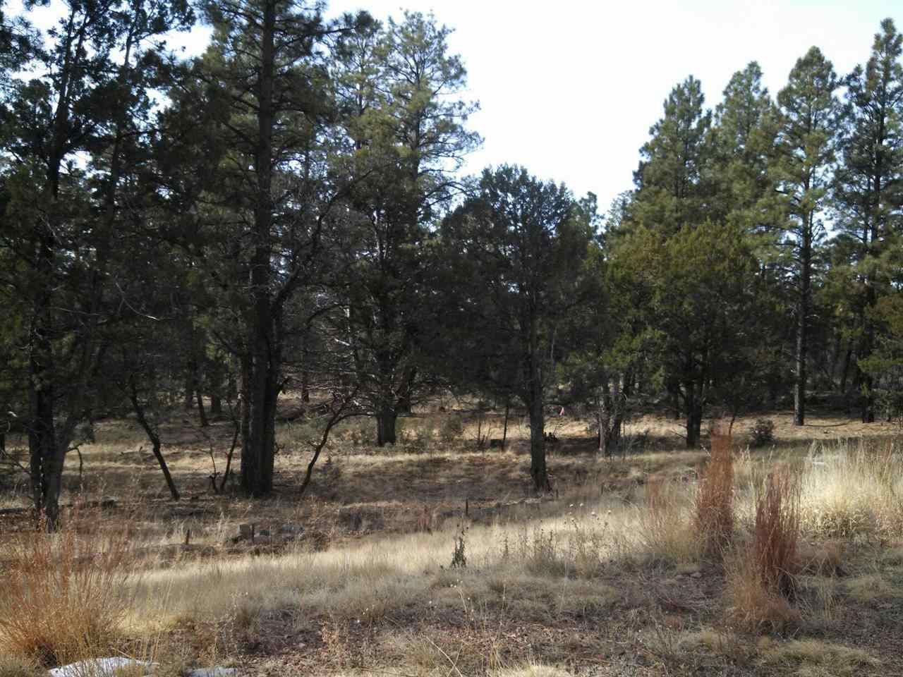 Tbd-3 Tbd-3 Porter Mountain Road Snowflake, AZ 85937 - Photo 20 of 21