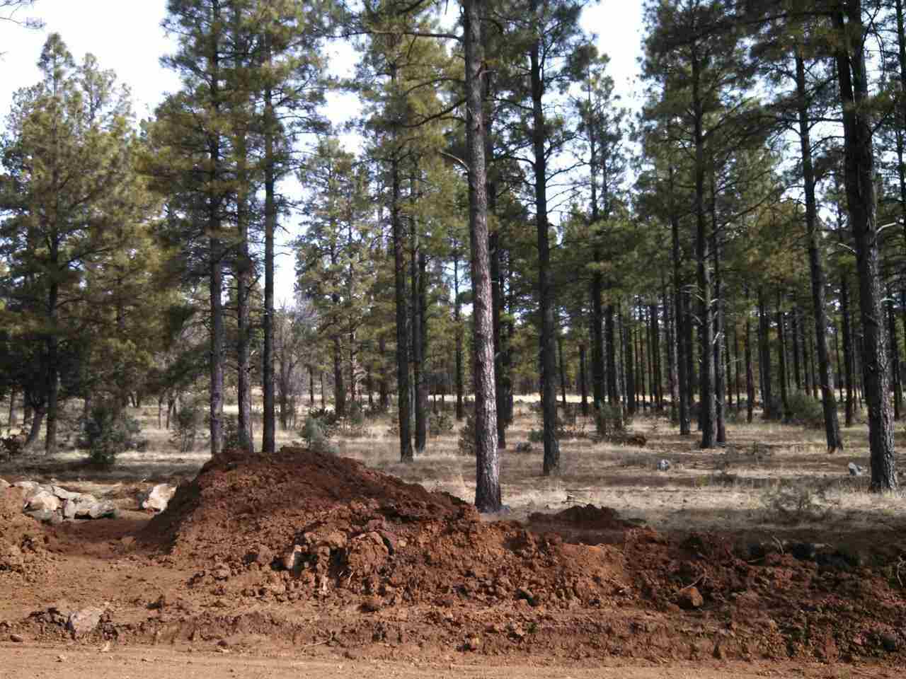 Tbd-3 Tbd-3 Porter Mountain Road Snowflake, AZ 85937 - Photo 3 of 21
