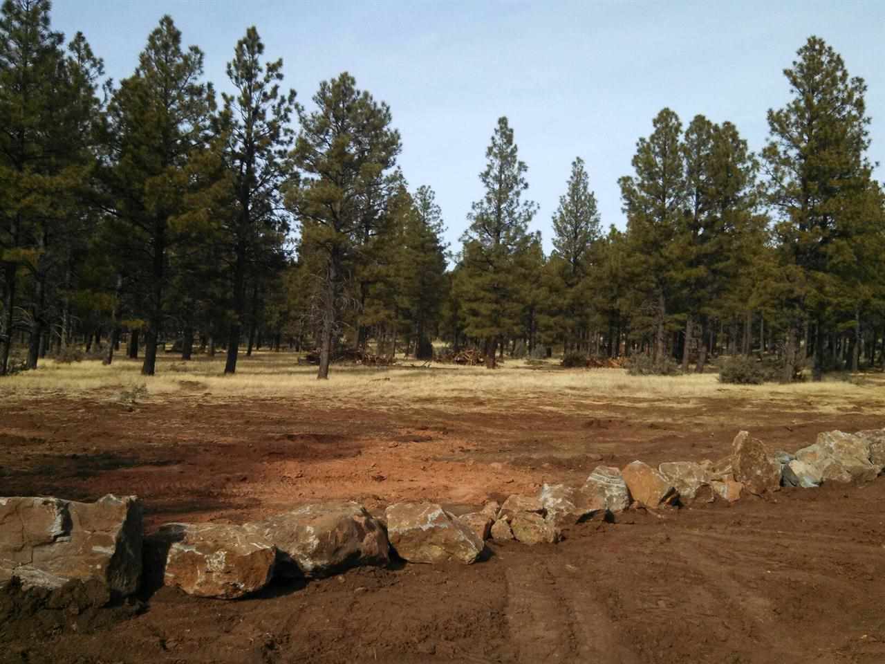 Tbd-3 Tbd-3 Porter Mountain Road Snowflake, AZ 85937 - Photo 10 of 21