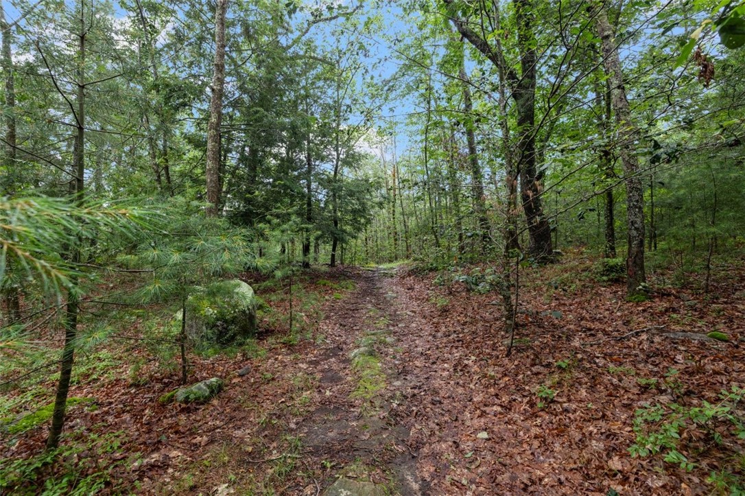 75 West Shore Drive Exeter, RI 02822 - Photo 33 of 39 Arcadia hiking path