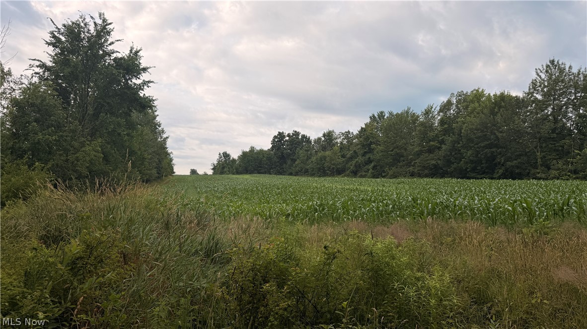 5201 Emerson Road Madison, OH 44057 - Photo 23 of 50