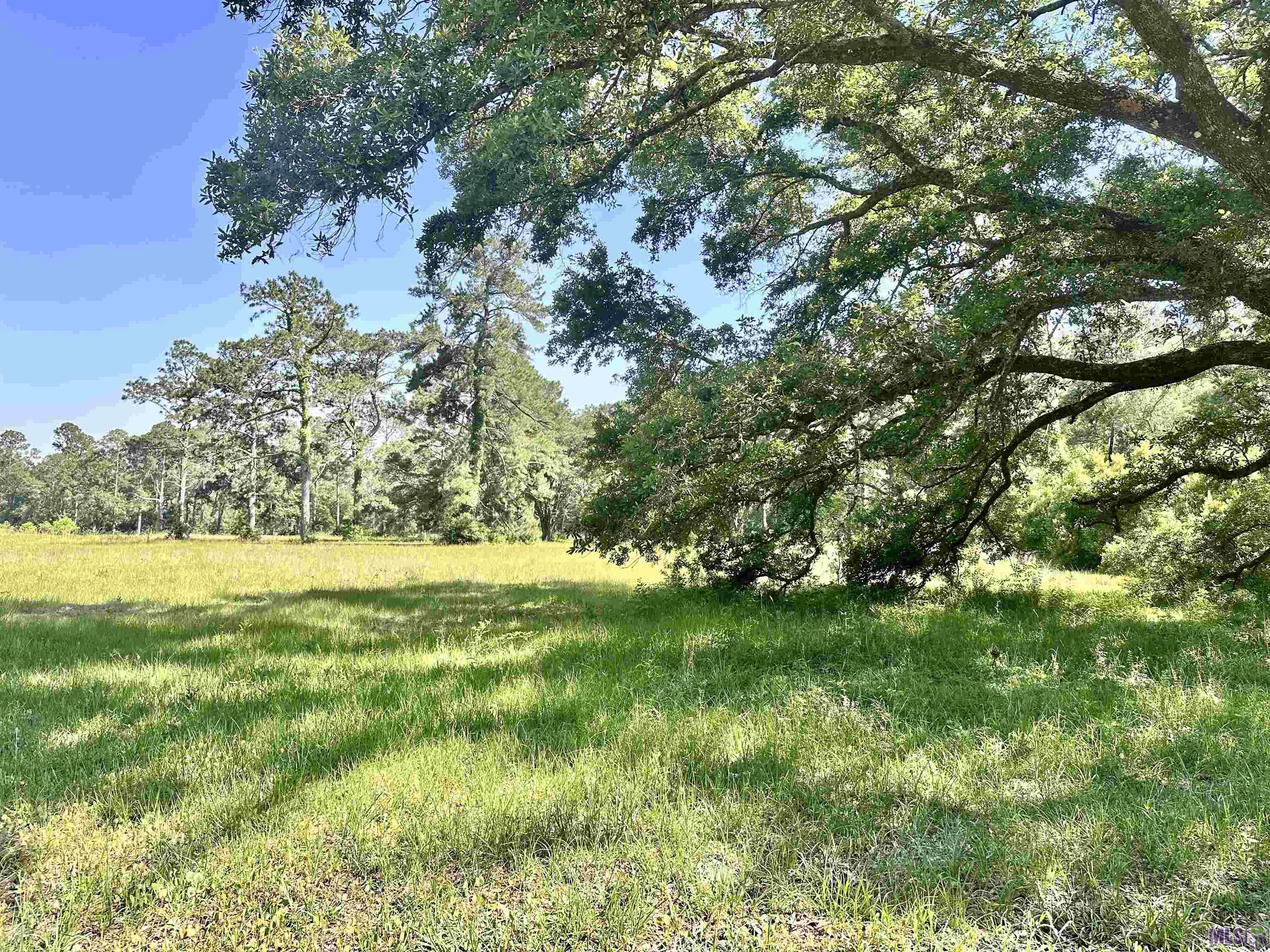 Lot# A-2-2 Lot Road Covington, LA 70433 - Photo 9 of 10