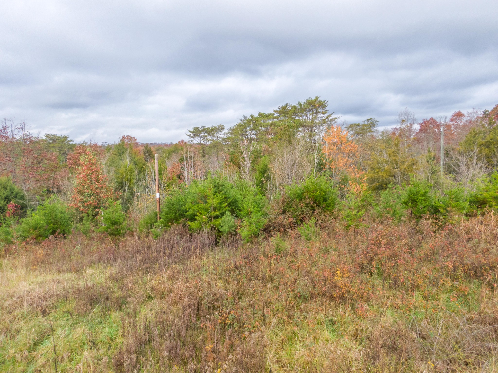 0 Elkins Road Kodak, TN 37764 - Photo 2 of 6