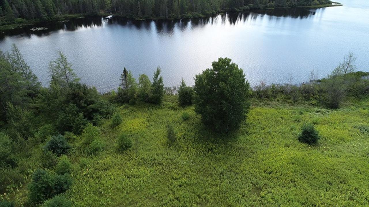Lot 24 Weber Road Mercer, WI 54547 - Photo 10 of 19 Gallery Image 10