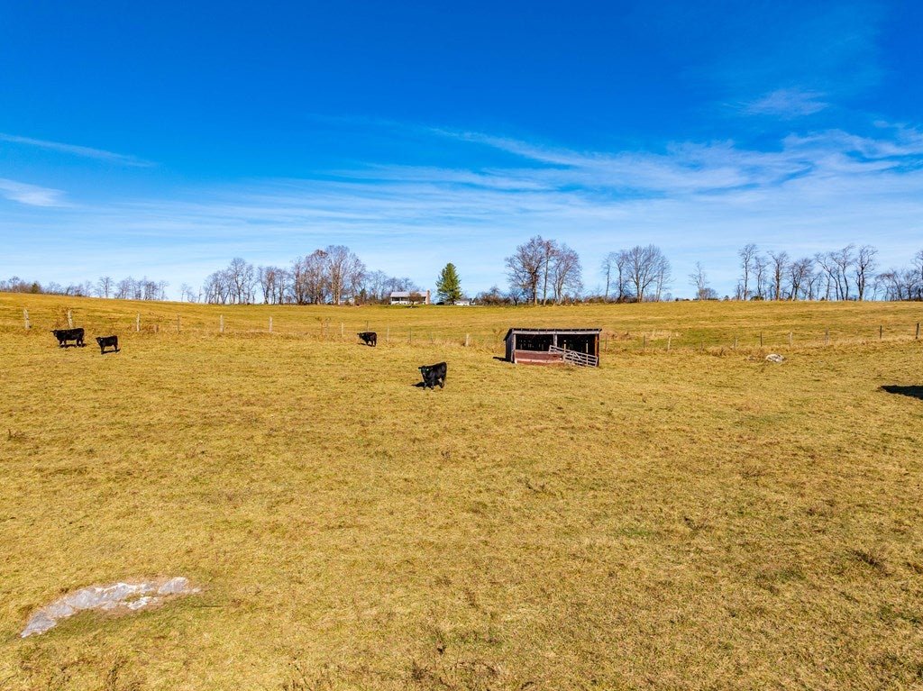 Tbd Gap Of Ridge Road Rural Retreat, VA 24368 - Photo 45 of 85 Gallery Image 45