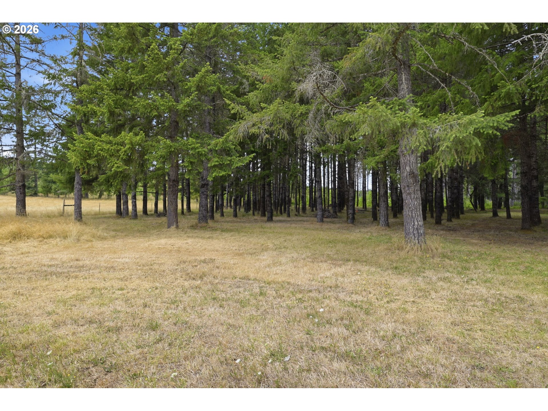 24137 Warthen Road Elmira, OR 97437 - Photo 35 of 46 Gallery Image 35