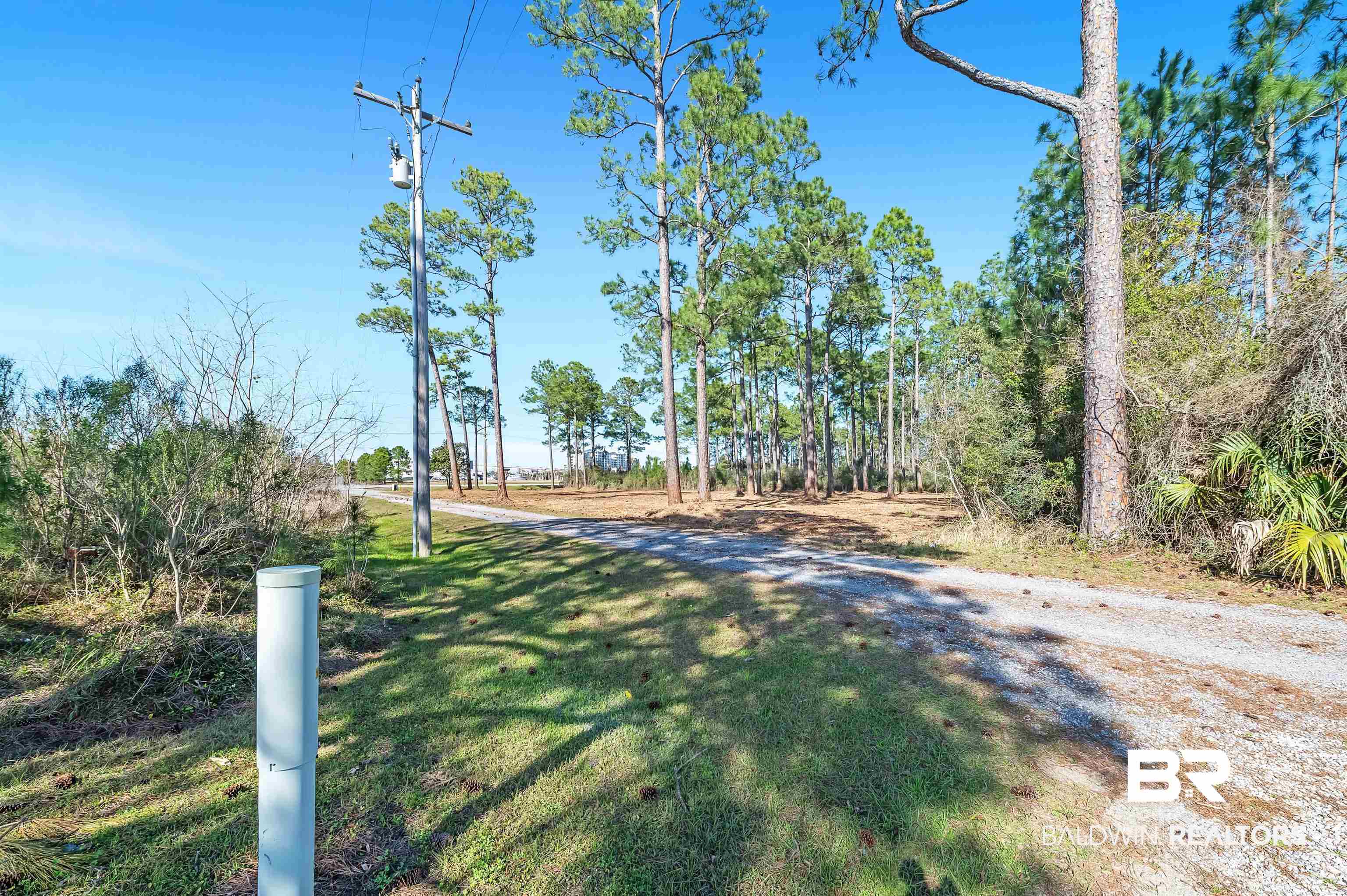 0 Canal Road Orange Beach, AL 36561 - Photo 6 of 25 View of street