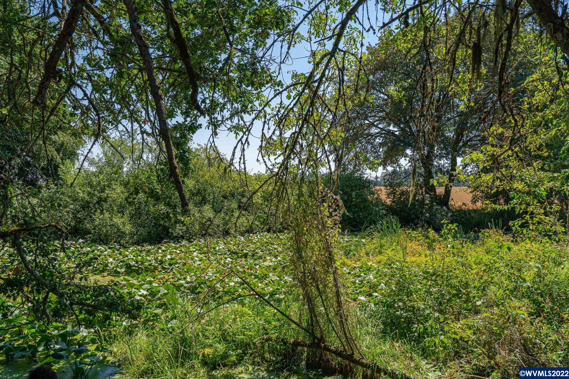 003 Southeast White Oak (next To) Road Corvallis, OR 97333 - Photo 6 of 24