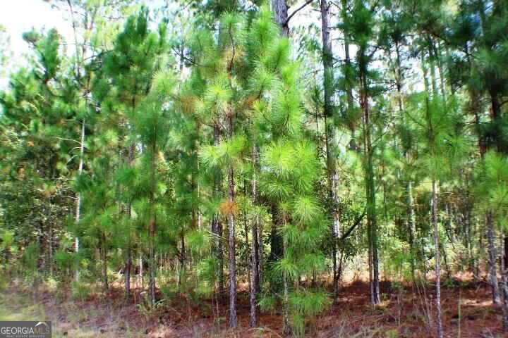 Lot 13 Payne Road Rentz, GA 31075 - Photo 1 of 1 Main View