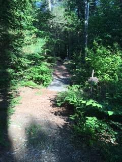 4 Lessing Road Chebeague Island, ME 04017 - Photo 23 of 26 Photo