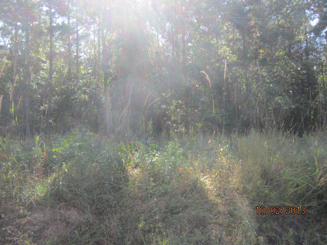 0 Brown Road Washington, GA 30673 - Photo 1 of 1 Main View