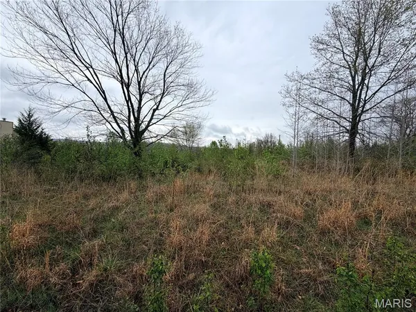 $32,500 | 0 Salina Road, Waynesville, MO 65583