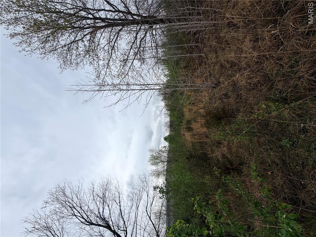 0 Salina Road Waynesville, MO 65583 - Photo 3 of 4