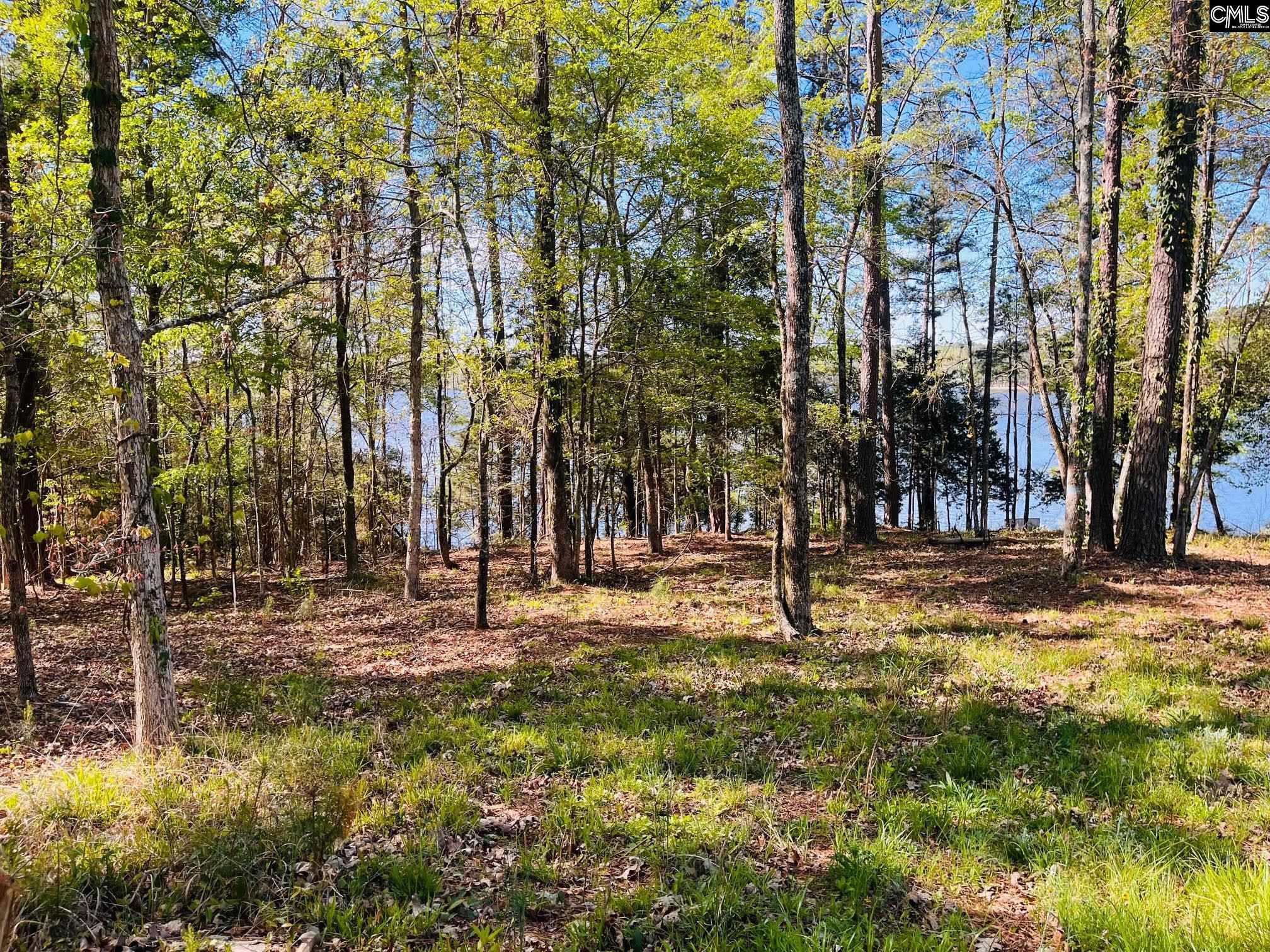 0 Lands End Lane Prosperity, SC 29127 - Photo 10 of 20