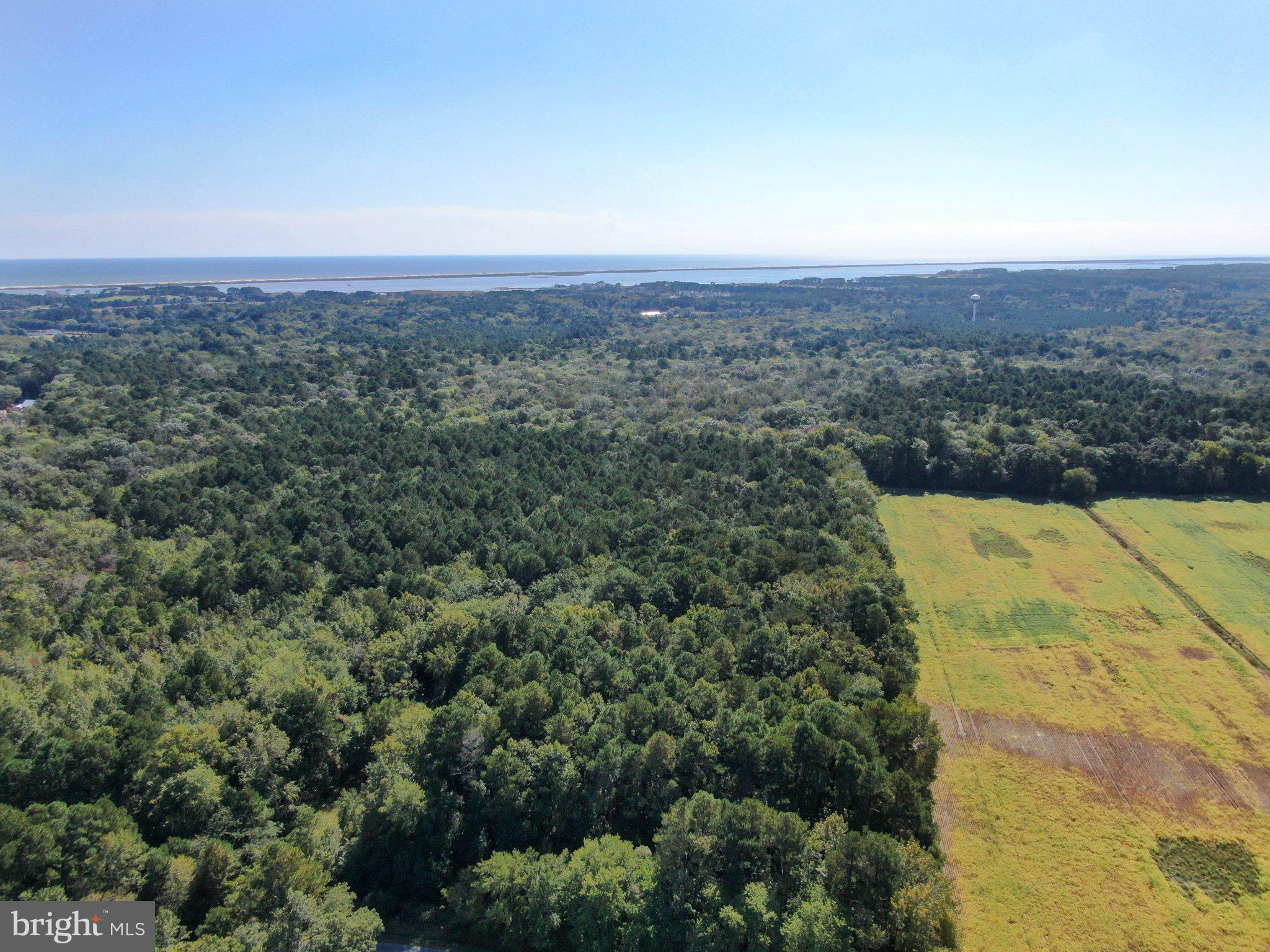 12823 Lewis Road Berlin, MD 21811 - Photo 2 of 8 an aerial view of house with yard and mountain view in back