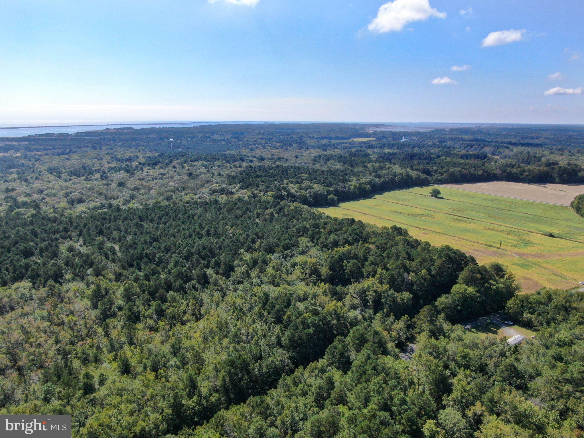 12823 Lewis Road Berlin, MD 21811 - Photo 4 of 8 an aerial view of a houses with a lush green forest