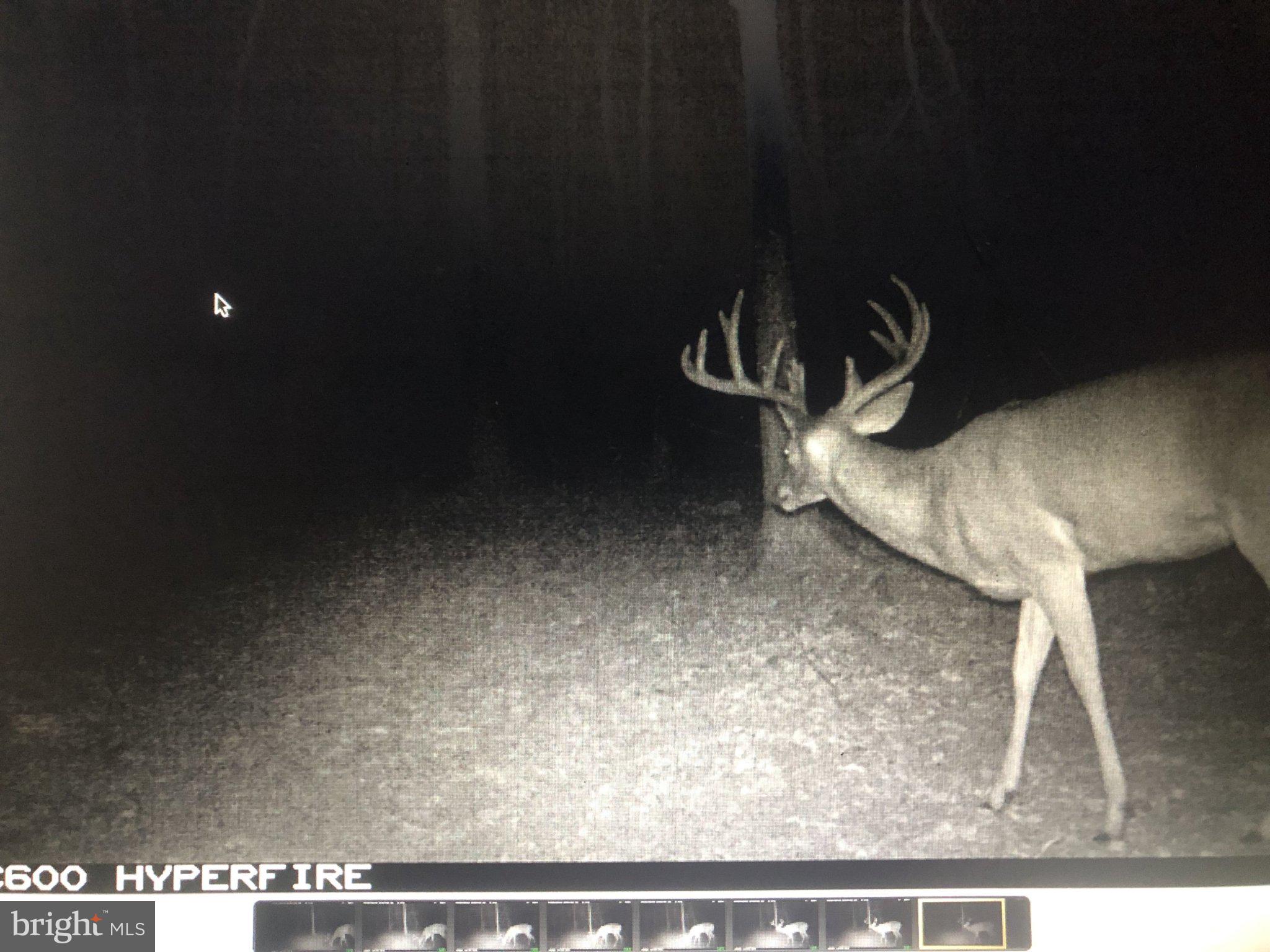 12823 Lewis Road Berlin, MD 21811 - Photo 5 of 8 a picture of a room