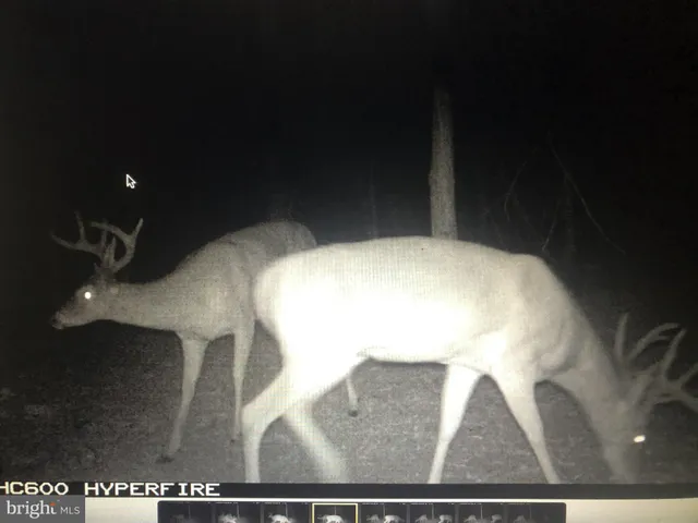 a view of outdoor space