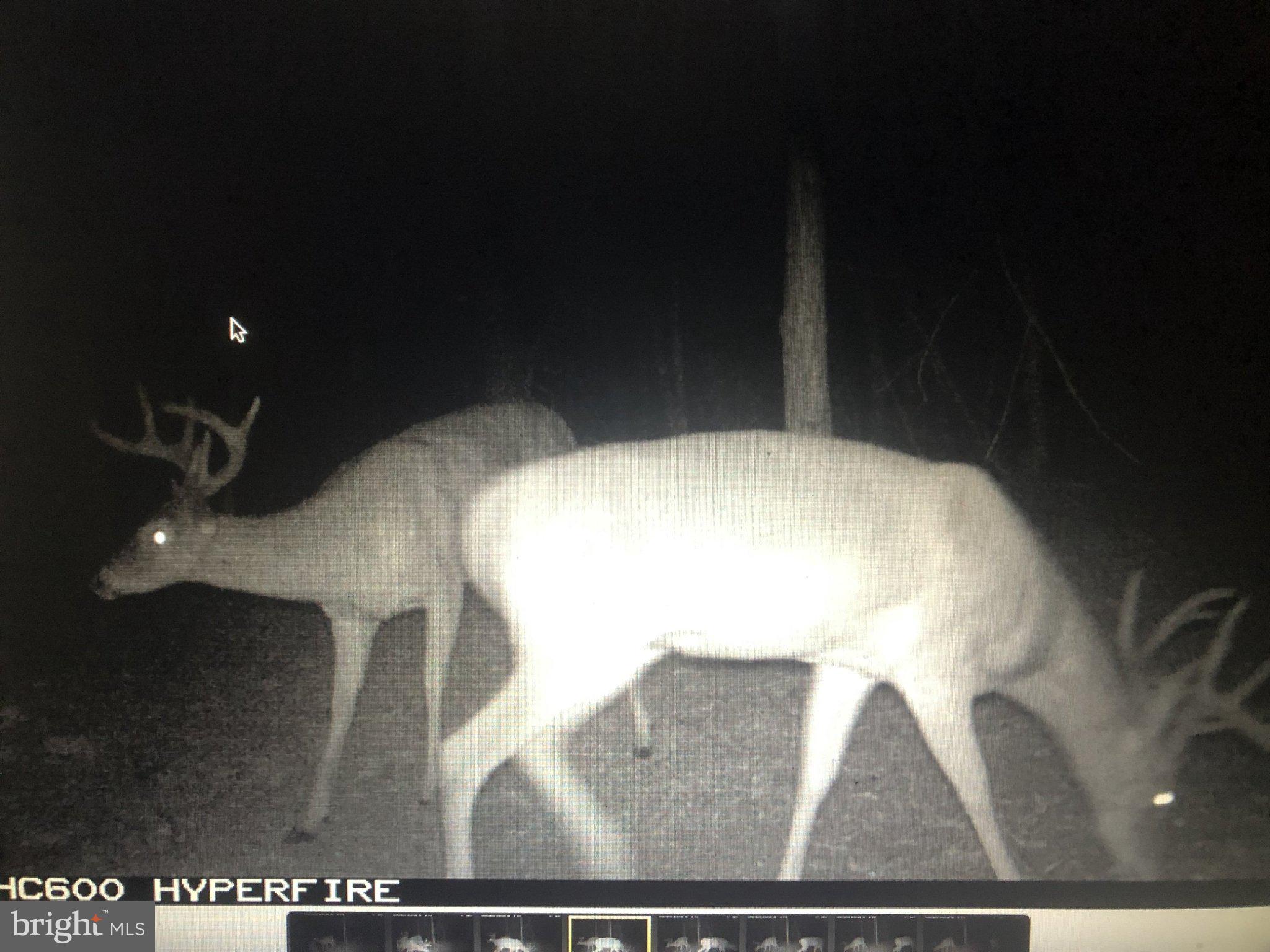 12823 Lewis Road Berlin, MD 21811 - Photo 6 of 8 a view of outdoor space