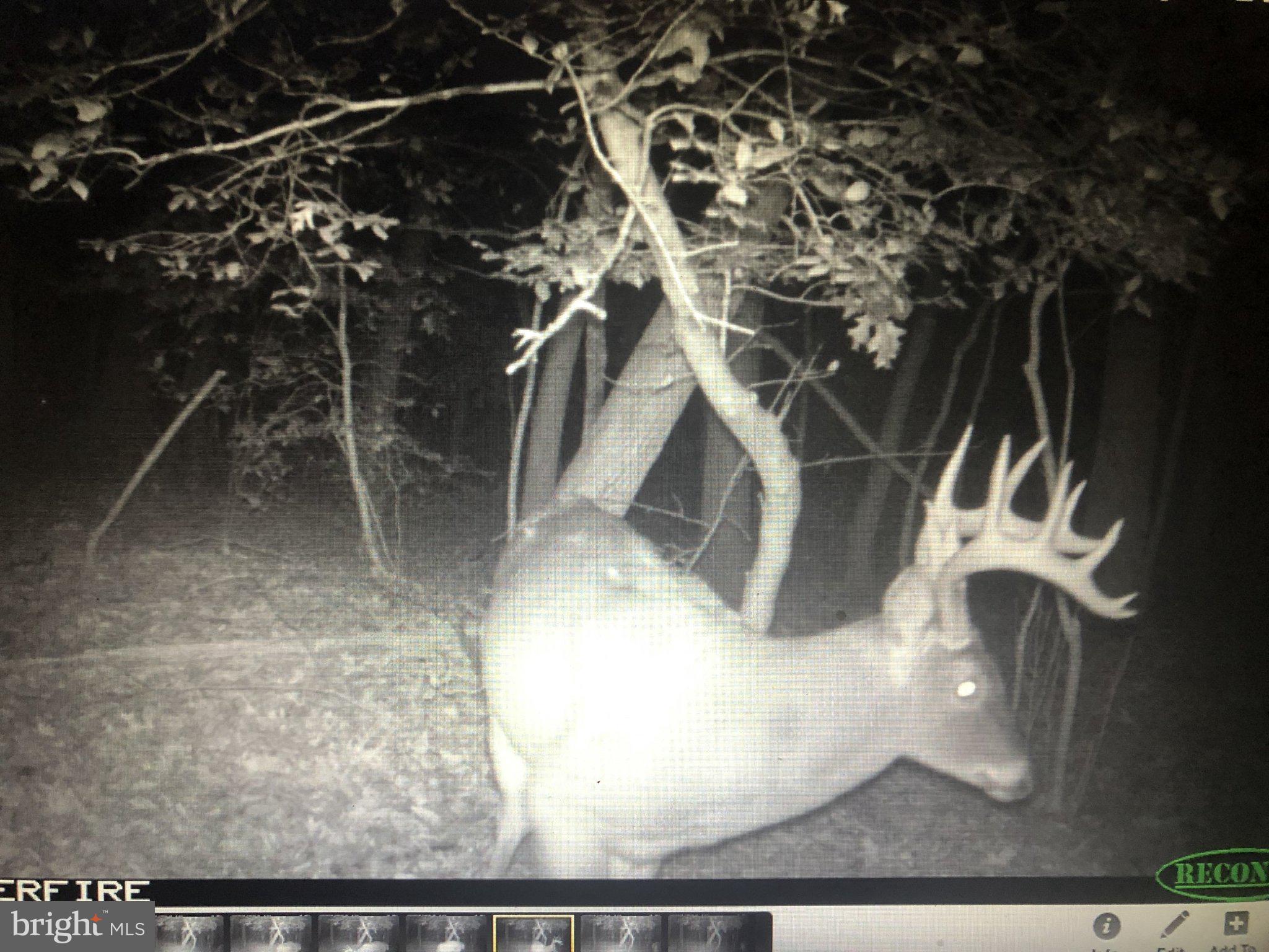 12823 Lewis Road Berlin, MD 21811 - Photo 7 of 8 a view of entryway